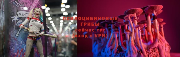 ГАЛЛЮЦИНОГЕННЫЕ ГРИБЫ Кукмор