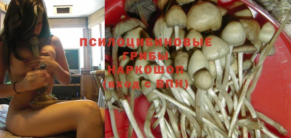 mdpv Ладушкин