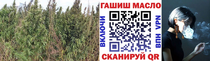 ТГК THC oil Купить закладки Зеленодольск