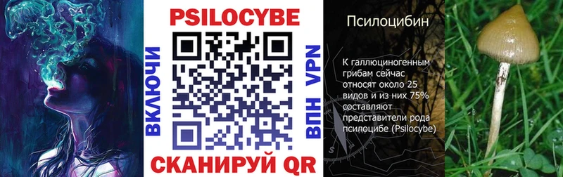 Псилоцибиновые грибы мицелий  Купить где  Зеленодольск 